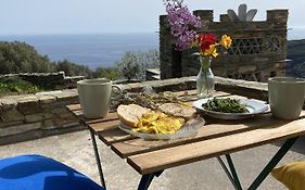 Andros Vineyard House With Sea View
